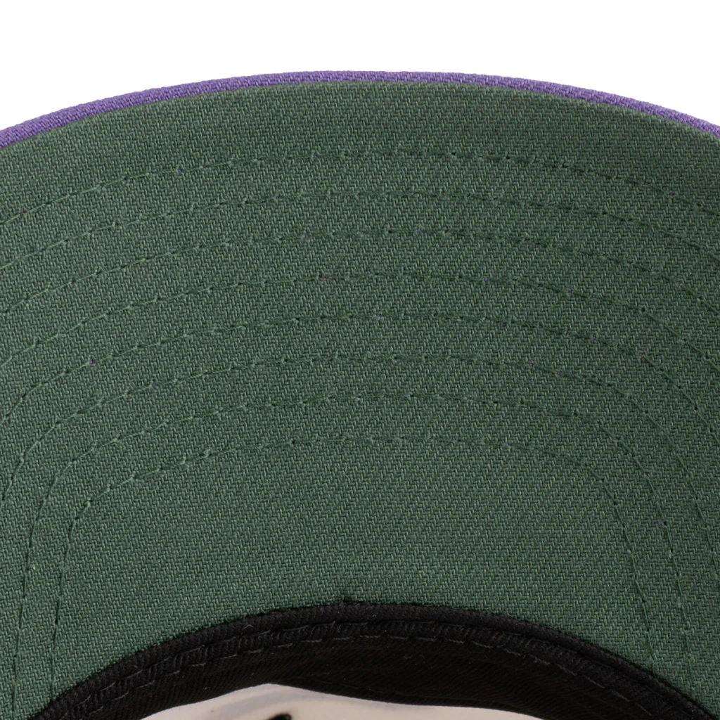Tucson Roadrunners New Era Two-Tone Kachina 9FIFTY A-Frame Snapback Hat - Cream - Image 3